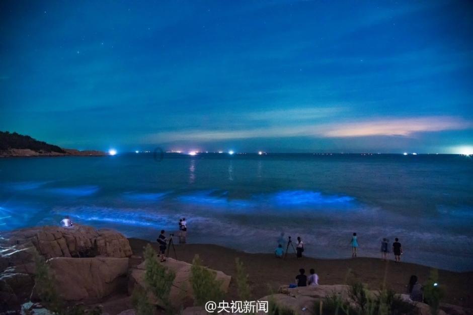 玛丽皇后的时装