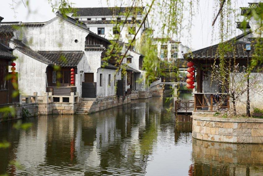 虫虫助手下载