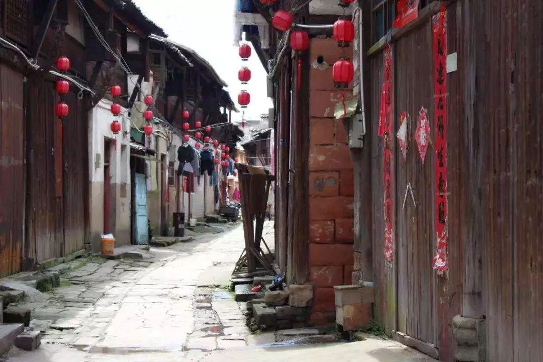 芭比的电影灵感