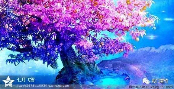 泡泡升空记8